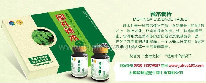 FƤʯľ}塪NƷ